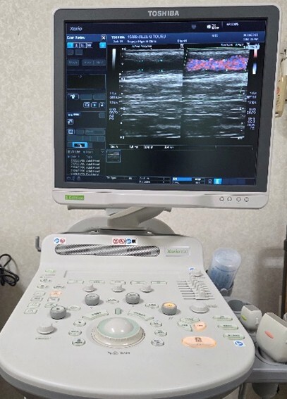 シャントエコー